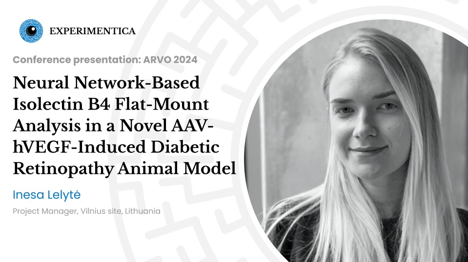 ARVO 2024 presentation: Neural Network-Based Isolectin B4 Flat-Mount Analysis in a Novel AAV-hVEGF-Induced Diabetic Retinopathy Animal Model​​