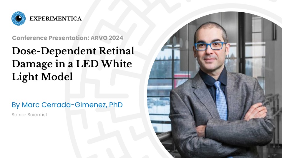 ARVO 2024 presentation: Dose-Dependent Retinal Damage in a LED White Light Model ​​